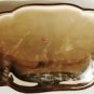 WM ROGERS SILVER PLATED BREAD SERVER W/ CURL RIM