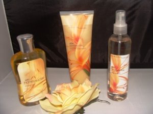 BATH & BODY WORKS 3 PC WILD HONEYSUCKLE BATH SET