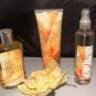 BATH & BODY WORKS 3 PC WILD HONEYSUCKLE BATH SET