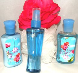 BATH & BODY WORKS CARRIED AWAY 3 PC MINI TRAVEL BATH SET