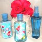BATH & BODY WORKS CARRIED AWAY 3 PC MINI TRAVEL BATH SET