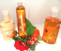 BATH & BODY WORKS SWEET CINNAMON PUMPKIN 3 PC BATH SET