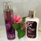 BATH & BODY WORKS 2 PC BLACK RASPBERRY VANILLA TRAVEL SET BATH & BODY WORKS 2 PC BLACK RASPBERRY VANILLA TRAVEL SET