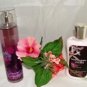 BATH & BODY WORKS 2 PC BLACK RASPBERRY VANILLA TRAVEL SET
