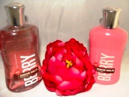 BATH & BODY WORKS BERRY VANILLAS 2 PC TRAVEL BATH SET