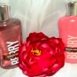 BATH & BODY WORKS BERRY VANILLAS 2 PC TRAVEL BATH SET