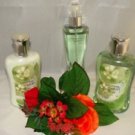 BATH & BODY WORKS CUCUMBER MELON 3 PC BATH SET
