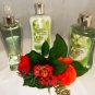 BATH & BODY WORKS CUCUMBER MELON 3 PC BATH SET