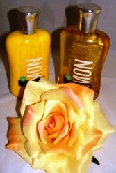 BATH & BODY WORKS LEMON VANILLAS 2 PC TRAVEL BATH SET