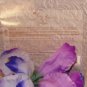 FANCY LOVE 2 PC WOMEN'S PERFUME AND BODY GIFT SET