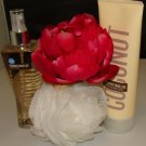 B & B W VANILLA COCONUT 2 PC BATH AND BODY SET B & B W VANILLA COCONUT 2 PC BATH AND BODY SET