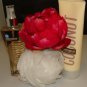B & B W VANILLA COCONUT 2 PC BATH AND BODY SET