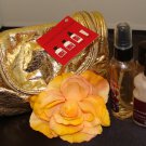 B & BW JAPANESE CHERRY BLOSSOM 3 PC TRAVEL BATH AND BODY SET B & BW JAPANESE CHERRY BLOSSOM 3 PC TRAVEL BATH AND BODY SET