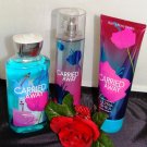BATH & BODY WORKS CARRIED AWAY 3 PC BATH SET