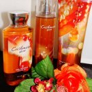 BATH & BODY WORKS CASHMERE GLOW 3 PC TRAVEL BATH SET