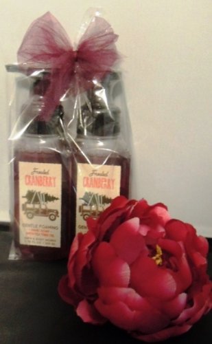 BATH & BODY WORKS 2 PC FROSTED CRANBERRY FOAMING HAND SOAP