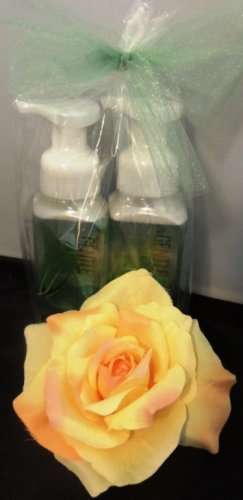 BATH & BODY WORKS 2 PC EUCALYPTUS MINT FOAMING HAND SOAP