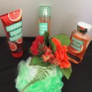BATH & BODY WORKS GRAPE FRUIT BREEZE 3 PC BATH SET