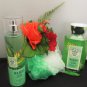BATH & BODY WORKS WAIKIKI BEACH COCONUT 2 PC BATH SET