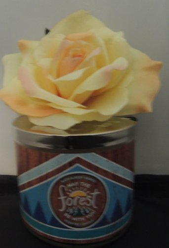 BATH & BODY WORKS FOREST SCENTED 3 WICKED CANDLE