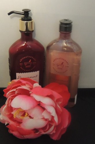 BODY WORKS 2 PC AROMATHERAPY PEPPERMINT BODY WASH & LOTION BATH SET