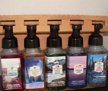 BATH & BODY WORKS 5 PC FOAMING HAND SOAP WITH FROSTED CRANBERRY