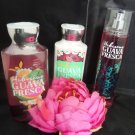 BATH & BODY WORKS HIBISCUS GUAVA FRESCA 3 PC BATH SET