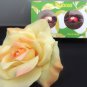 BE DELICIOUS BE TEMPTED & SO BLUSH 2 PC WOMEN'S PERFUME COFFRET GIFT SET