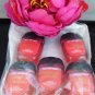 BATH & BODY WORKS 5 PC WATERMELON LEMONADE HAND GEL SET