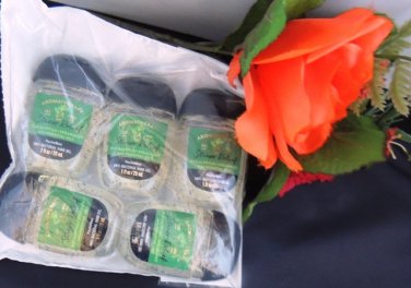 BATH & BODY WORKS 5 PC EUCALYPTUS SPEARMINT HAND GEL SET