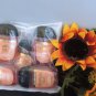 BATH & BODY WORKS 5 PC CHAMPAGNE TOAST HAND GEL SET