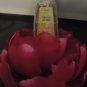 BATH & BODY WORKS 5 PC SUNSHINE & LEMON ANTI-BACTERIAL HAND GEL SET