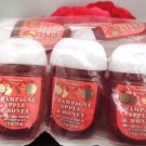 BATH & BODY WORKS 5 PC CHAMPAGNE & HONEY ANTI-BACTERIAL HAND GEL SET