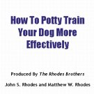How To Potty Train Your Dog More Effectively
