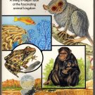 Animals Simon & Schuster Picture Pocket Book soft cover