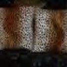 Two Cheetah Faux Fur Throw Pillow, Pillows, New!