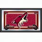 NHL Phoenix Coyotes Framed Team Logo Mirror