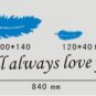 Feather with words sticker Home Decor Wall Sticker--158