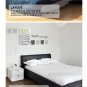 zebra design Sticker wall decal