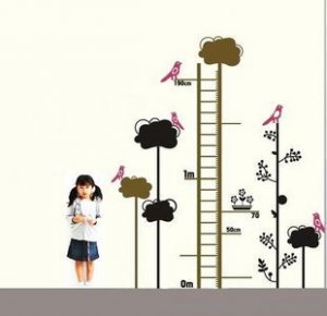 height chart Decor Wall Sticker 75"