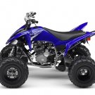 2009 Yamaha Raptor 250 VFM250R