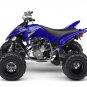 2009 Yamaha Raptor 250 VFM250R