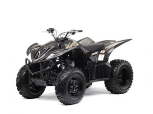 2009 Yamaha Wolverine 450 ATV