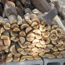 South Texas Mesquite Wood Chunks / Chips