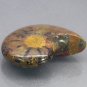 28.55 CT.TERRIFIC NATURAL PLAY COLOR MADA AMMONITE FOSSIL