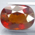 24.76 CT.RARE BIG NATURAL OV ORANGE TANZANIA HESSONITE