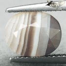 3.15 CT.RARE NATURAL OVAL MILKY WHITE HONEY BROWN LAYERS CLEARY ZEBRA SARDONYX