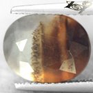3.26 CT.RARE NATURAL OVAL HONEY BROWN PLANT CLEAR CRYSTAL LAYER ZEBRA SARDONYX