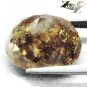 17.9 CT.BIG COLLECTION RARE NATURAL OVAL CRYSTAL YELLOW AFRICA TREE AGATE