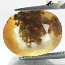12.97 CT.RARE COLLECTION NATURAL OVAL PERFECT PLANT CRYSTAL HONEY TREE AGATE